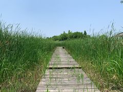 -梁鸿国家湿地公园