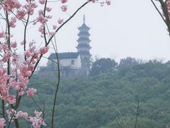 -苏州上方山国家森林公园