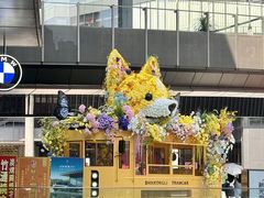 -新光里