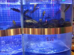 -蛙一刀·麻椒鱼火锅(金仙桥店)