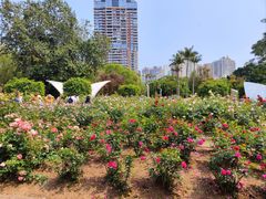 -人民公园(罗湖区)