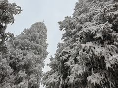 -九峰山