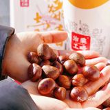 秋冬最幸福的事情之一就是吃板栗