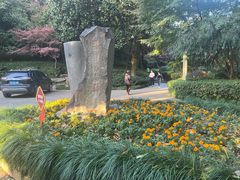 -杭州半山国家森林公园