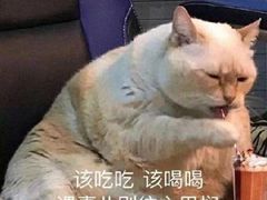 -丸摩堂鲜果茶(九方店)