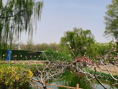 -燕郊植物园