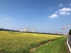 -光明小镇欢乐田园