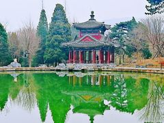 -香山公园