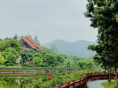 -大屏嶂森林公园