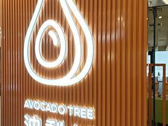 -油梨树 AVOCADO TREE(亮马桥店)