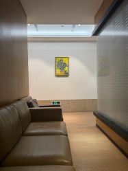 -上海薇琳医疗美容医院