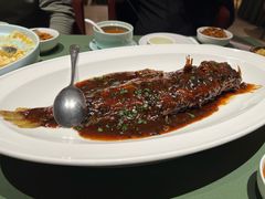 -老吉堂上海本帮菜(望京万象汇店)