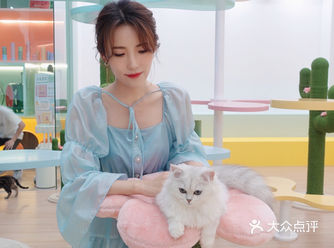魔都新晋撸猫胜地｜一起来吸猫吗 超治愈