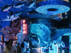 -烟台海昌鲸鲨海洋公园