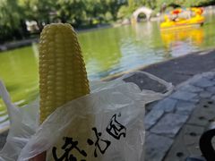-紫光园·烤鸭·北京菜(团结湖店)