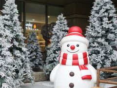 -巴黎春天(浦建店)