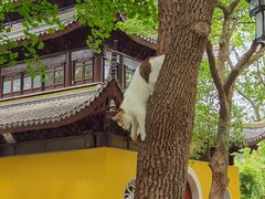 -西园戒幢律寺