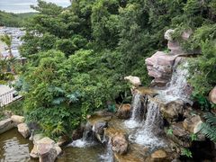 -平湖九龙山旅游度假区