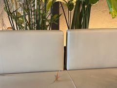 -漫咖啡 (CCPAPK创意港店)