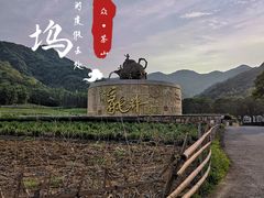-龙坞茶村