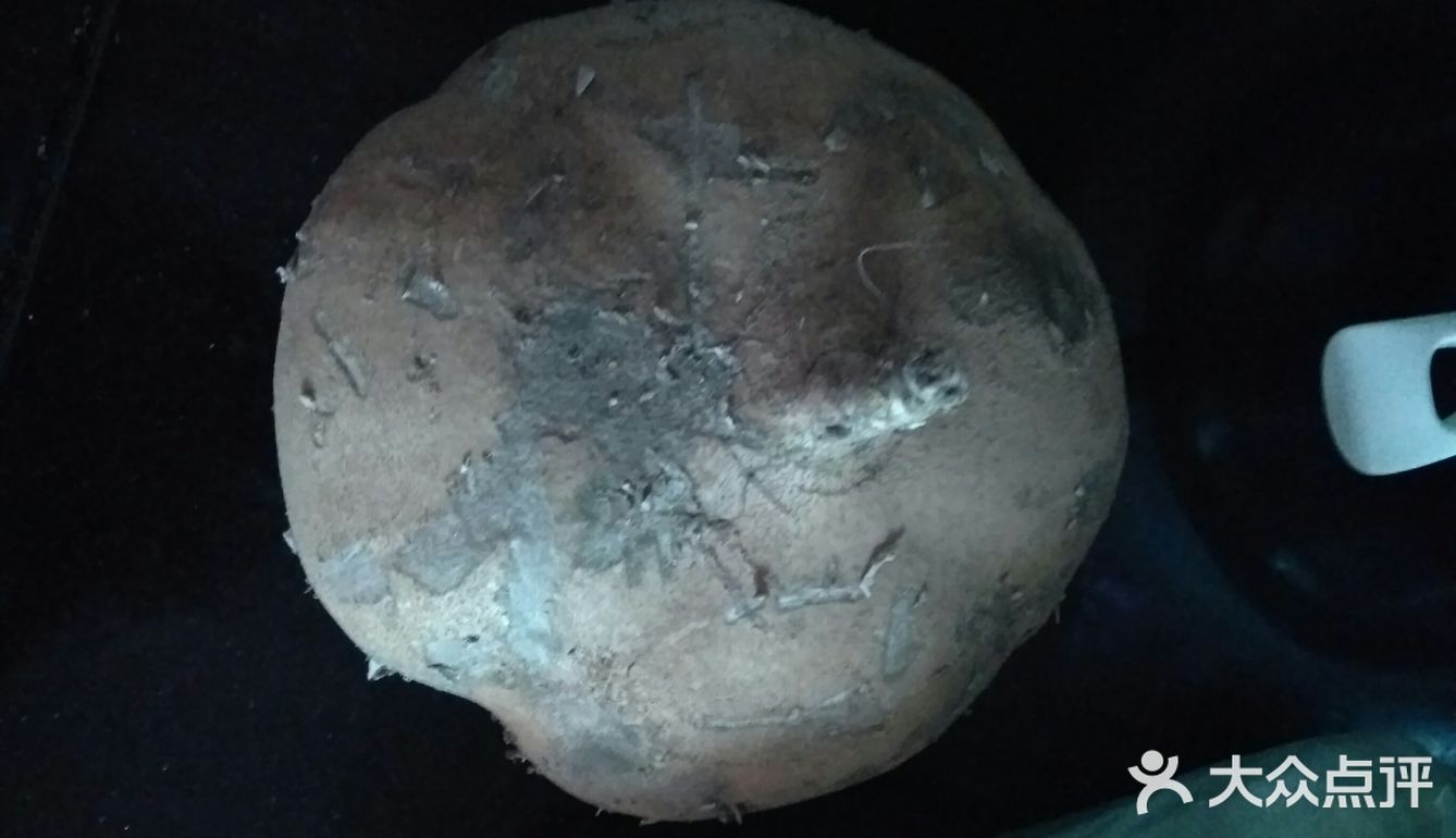 非常美味下饭的家常菜之豆瓣酱焖鸭