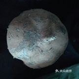 非常美味下饭的家常菜之豆瓣酱焖鸭