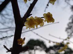 -香山公园