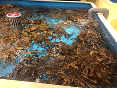 一片海（小海/份）-日进一片海.生腌海鲜火锅.宵夜烧烤(三里屯总店)