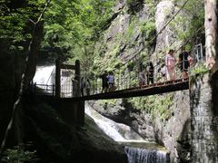 -牛背梁国家森林公园