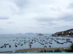 -枸杞岛