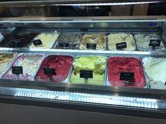 -Patagonia Chocolates(皇后镇店)