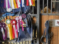 -北京群众马术培训基地