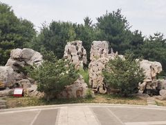 -西海子公园