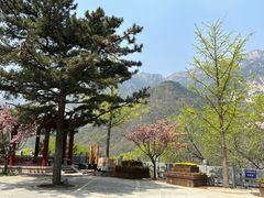 -泰山风景名胜区