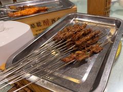 -福苗小骆驼烧烤(大唐不夜城店)