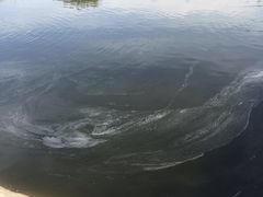 -北京拉斐特城堡酒店