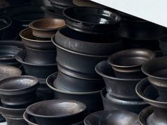 -自由生长植物工作室(深港花卉中心店)