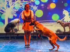 -安徒生童话乐园