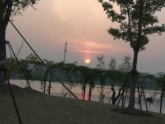 -上海长兴岛郊野公园