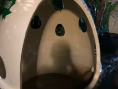 -100蛋泥浆浴