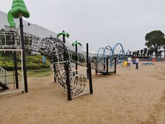 -碧海金沙