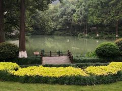 -杭州花家山庄