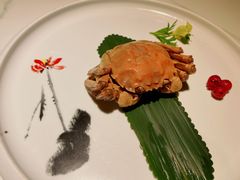 -姜君·千岛湖鱼头馆(浦东大道店)