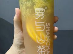 -雾与山茶(大禹城店)