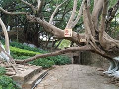 -胡里山炮台