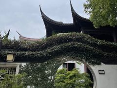 -上海醉白池公园
