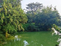 -八大山人梅湖景区