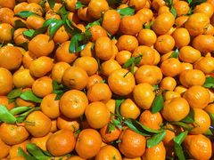 -兴龙广缘超市(奥体中心店)