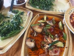 -青城甲(青城山店)