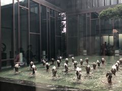 -上海崇明金茂凯悦酒店